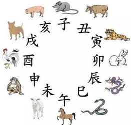 身无分文的哪个生肖，月中折桂指的是哪个生肖？