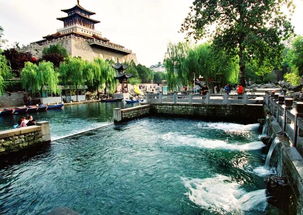 那个被遗忘的午后与一只老虎的对视