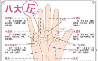 粗细之间：家底和奋斗力的密码