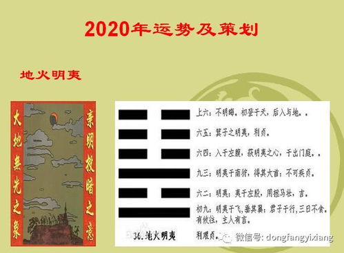 庚子年八字命运详解包含哪些方面？
