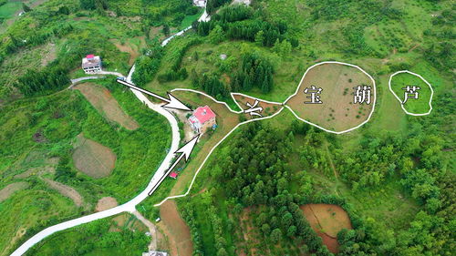 一个小区Zui好的风水宝地是哪里,一个小区Zui好的风水宝地是哪里