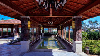 养生还是养钱包？