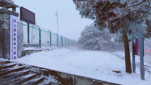 四川多地迎降雪， 周末开启冰雪之旅