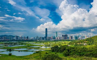 3. 梧桐山顶广场