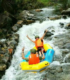 龙浒峡：主城后花园变菜市场 周一周二也沦陷了