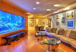 一、 鱼缸与火的“刀光剑影”——厨房禁区大揭秘