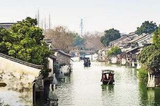 先说说咱们得搞清楚乌镇到底是啥玩意儿