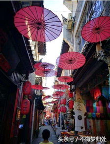 综合免费参观——邕剧表演与城市绿肺