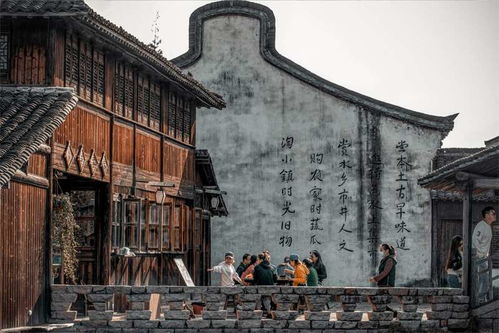 一、隐居江南，春日乌镇的魅力所在