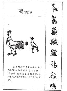 水偏旁：脑子进水警告