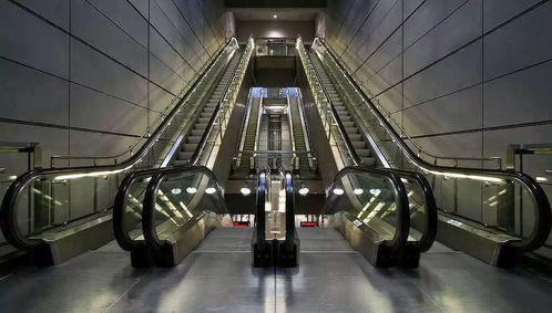 震惊！广场舞女王必看的电梯生存法则！不看后悔一辈子！