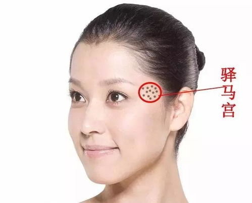 面相招财特征属什么生肖？女生哪种面相最招财？