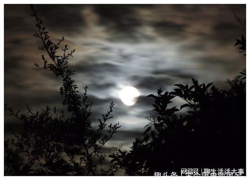 一、 描写人的品质平易近人宽宏大度冰清玉洁持之以恒锲而不舍废寝忘食大义凛然临危不俱光明磊落不屈不挠鞠躬尽瘁死而后以二、描写人的智慧料事如神足智多谋融会贯通学贯中西博古通今才华横溢出类拔萃博大精深集思广益举一反三三、描写人物仪态、风貌憨态可掬文