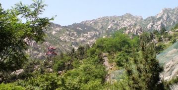 亲子游攻略：带着娃玩转较小珠山