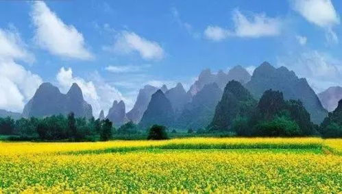 路线攻略：阳朔到桂林的骑行秘籍，千万别迷路！