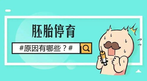 一、 胎停背后的“隐形炸弹”——别只盯着子宫看
