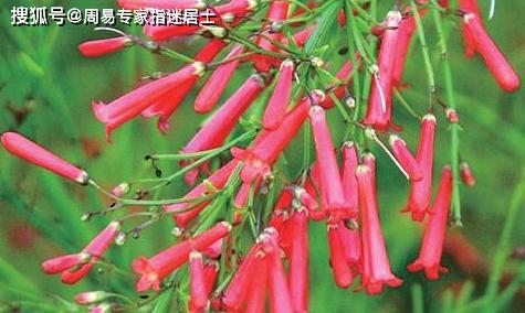 1984年属鼠的人2023年全年运势如何？