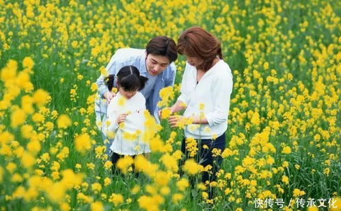 情感爆炸警报：