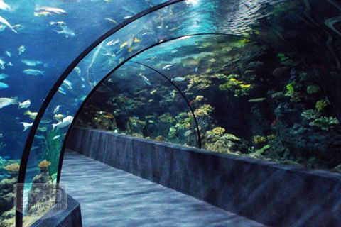 三大展区的真相：期待与现实的巨大落差