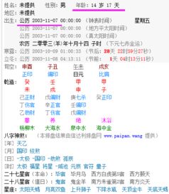 鸡年的灵魂烙印——生肖与命运的双重身份