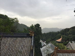 辽宁桓仁：山里的凉席，  比空调房更舒服——2024年7月沈阳宝妈的“反常识”选择