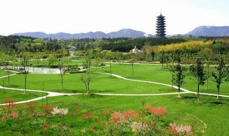 我的踩雷血泪史