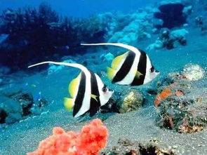 赣榆海底世界：一个被严重低估的奇葩存在