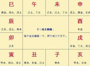 干支间的微妙联系