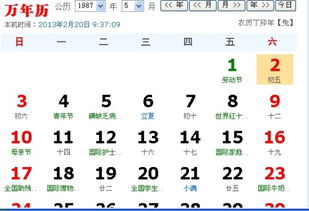 1987年出生的到底是啥玩意儿？兔子还是火炉？