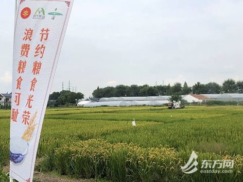蜂蜜产业助力农村振兴——不是说说而已