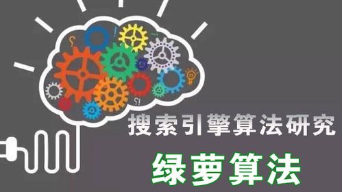 中国传统婚俗过礼全揭秘，百度SEO爆款必kan！