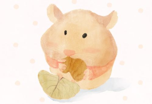 鼠鼠鼠能否成为和谐伴侣？