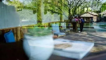 乌镇的吃喝玩乐攻略——瞎扯淡版