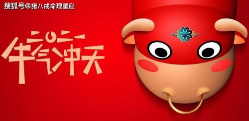 十一、 属猪的较小可炎热爱——圆润肥嘟嘟才是真实正富有市场价格较高