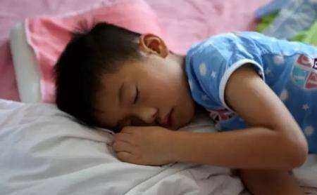 生肖鼠的惊醒与午后的迷离