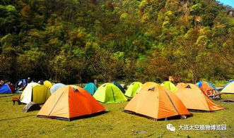 南山上的剧本杀与迷路