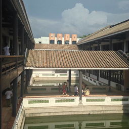 美食？毒药还差不多！