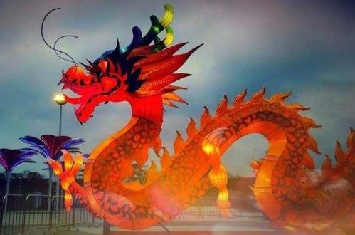 1976年属龙的人今年财运如何？财运状况怎样？