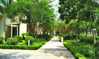 公司门前风水布局怎样招财,公司门前有河风水好吗