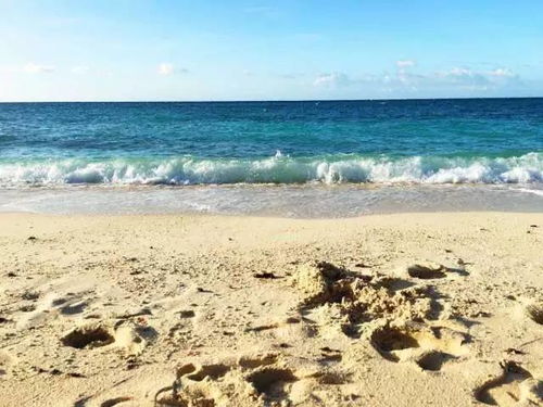 骑行与赶海：体验当地风情