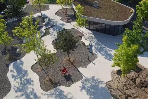 独树的隐喻：孤寂与是非