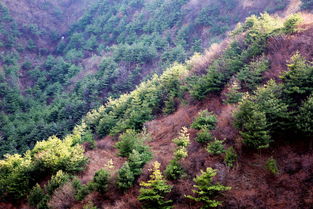 秦岭沣峪口观音山（真的美！）