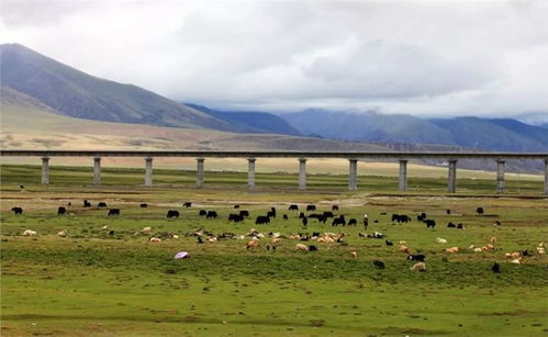 昆明至遵义自驾游：红色之旅， 风景如画