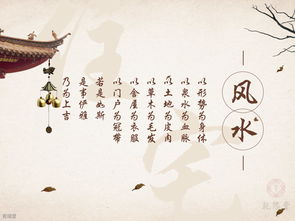 风水大师排名前十位,风水大师耽美小说