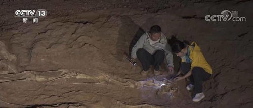 惯与装备的补充说明