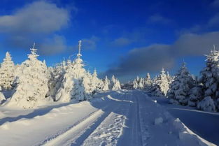 梅河口：冰雪运动的乐园
