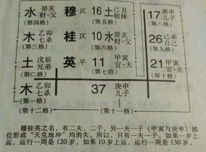 中医养生篇：