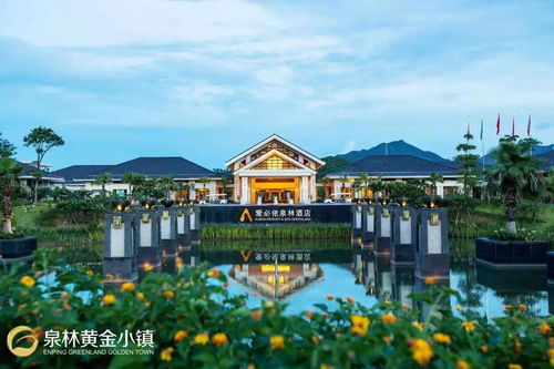 从深圳到沂水：一场颠覆想象的冒险