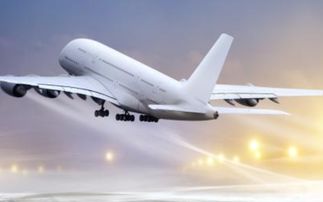 乘客名单中的玄机