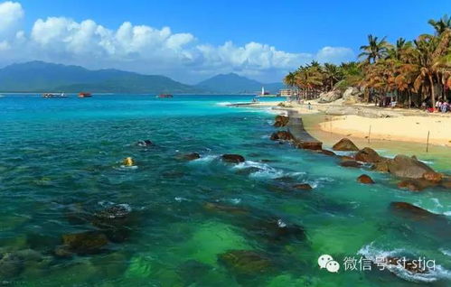 夜晚里的双岛湾， 浪漫与诗意之旅